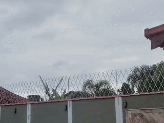 video 4