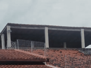 video 5